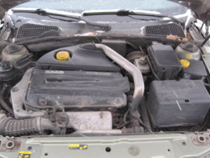 IMG_2593.JPG